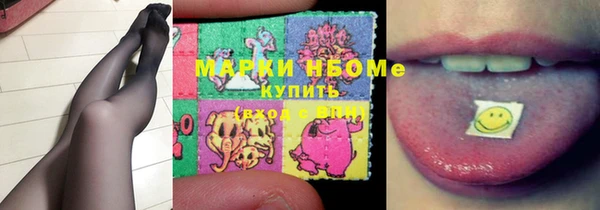 стаф Верея