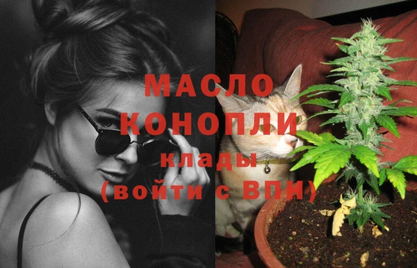 стаф Верея