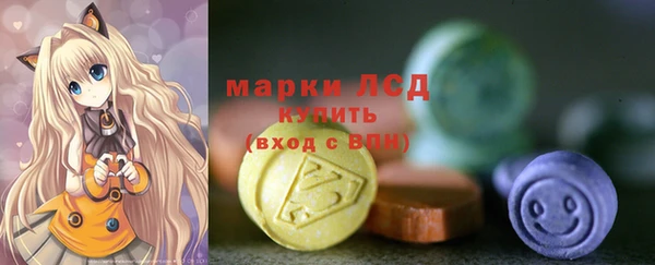 стаф Верея