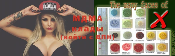 стаф Верея