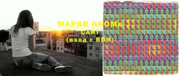 стаф Верея