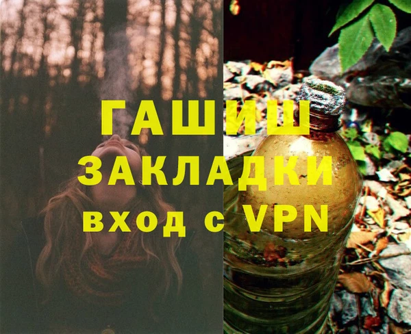 стаф Верея