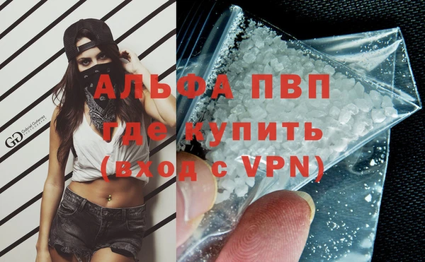 стаф Верея