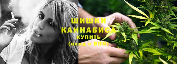 стаф Верея