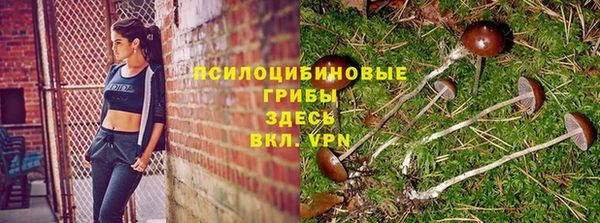 Альфа ПВП Верхнеуральск